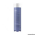 شامپو روزانه لافارر مناسب موهای خشک و زبر 250میلی لیتر Lafarrerr Dry Scalp Shampoo Moist Series - تصویر 4